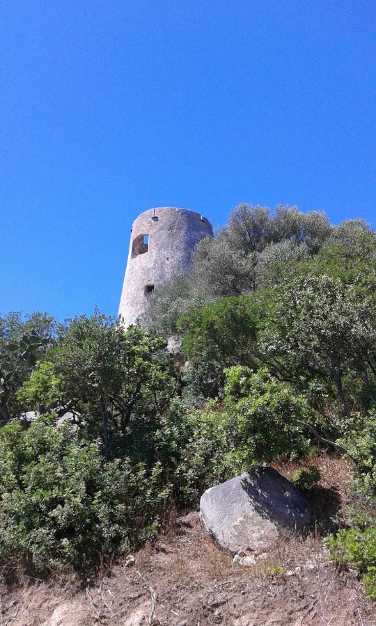 Il Sughereto Arbatax Luaran gambar